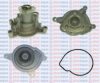 AQUAPLUS 85-8423 Water Pump